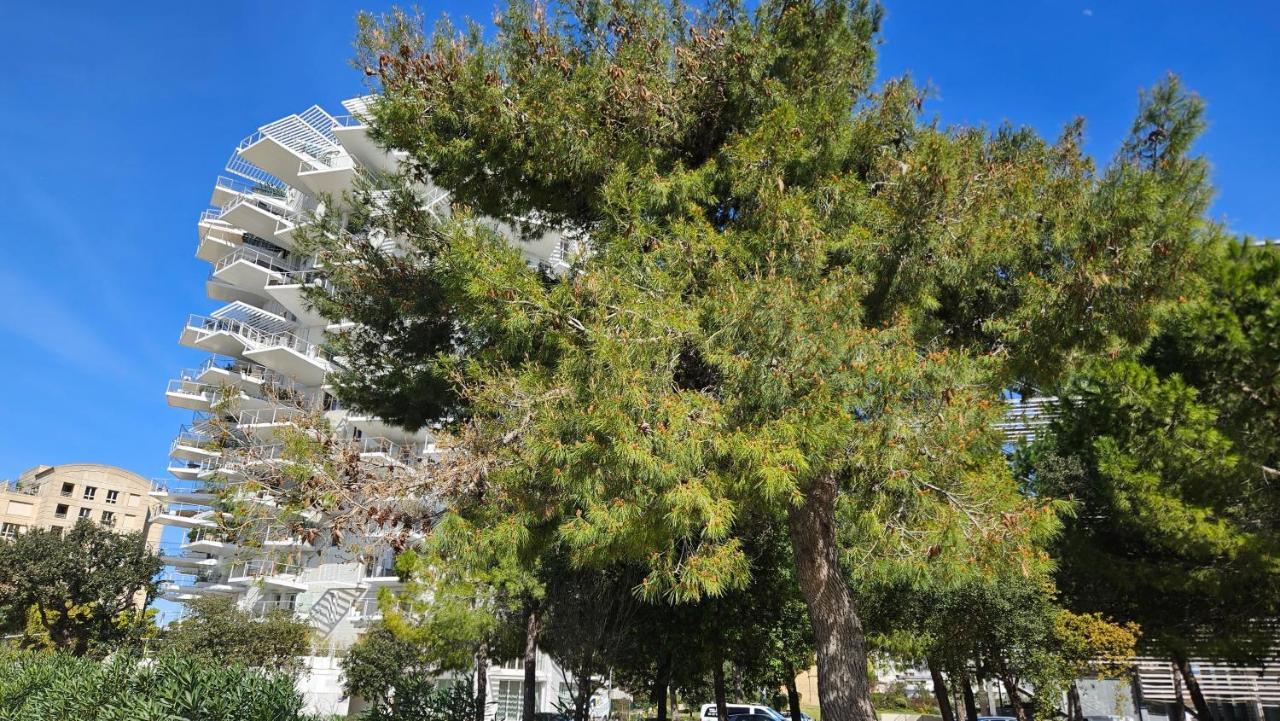 Arbre Blanc, une folie montpelliéraine Esterno foto
